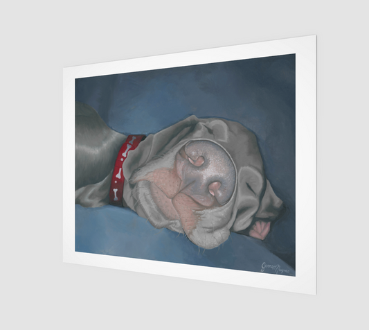 Puppy Dreams  Weimaraner Art Print